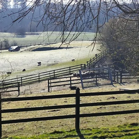 Tiny House Dreilaendereck * Kelmis